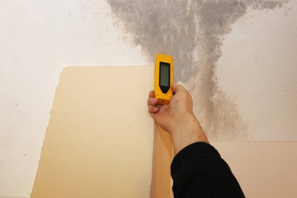 Best Airborne Mold Testing  in USA